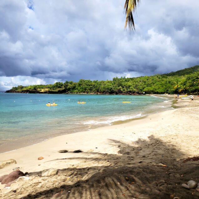Anse Cochon Beach
